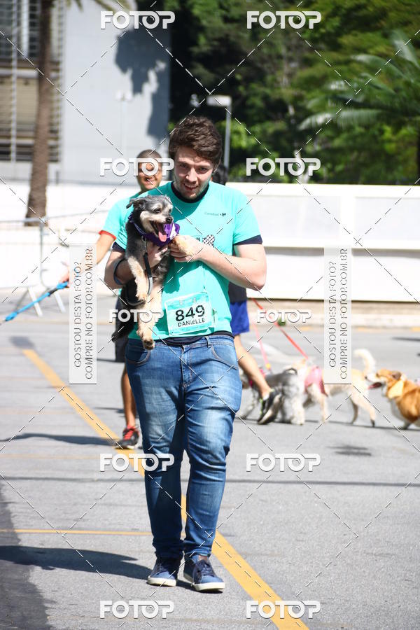 Buy your photos of the event2 Pet Run Shopping Eldorado  on Fotop