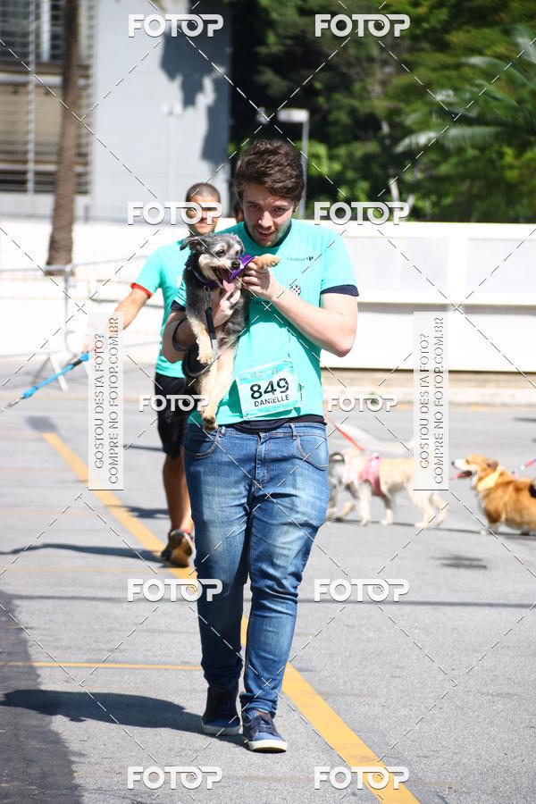 Buy your photos of the event2 Pet Run Shopping Eldorado  on Fotop