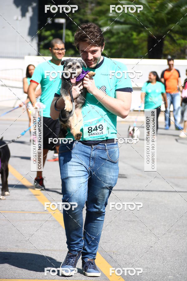 Buy your photos of the event2 Pet Run Shopping Eldorado  on Fotop