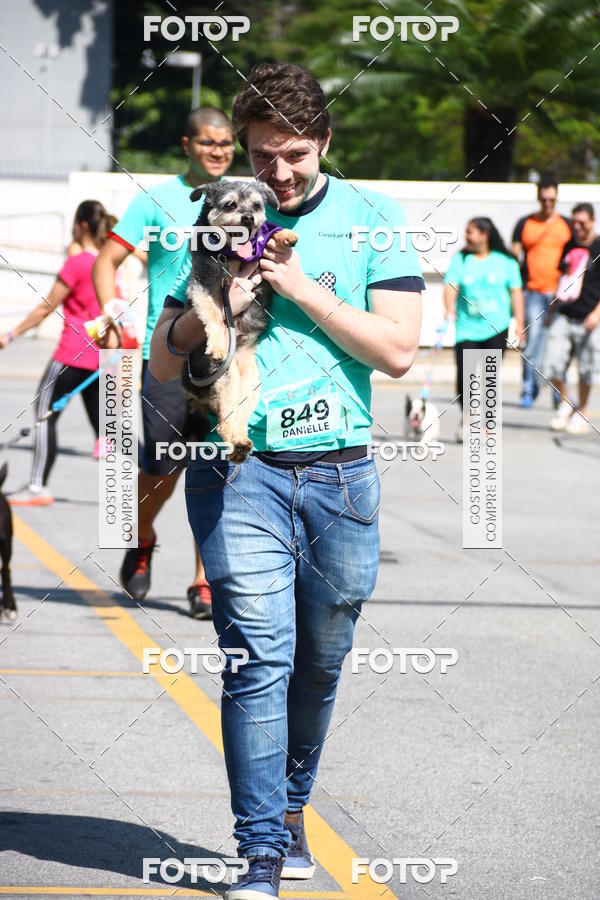 Buy your photos of the event2 Pet Run Shopping Eldorado  on Fotop