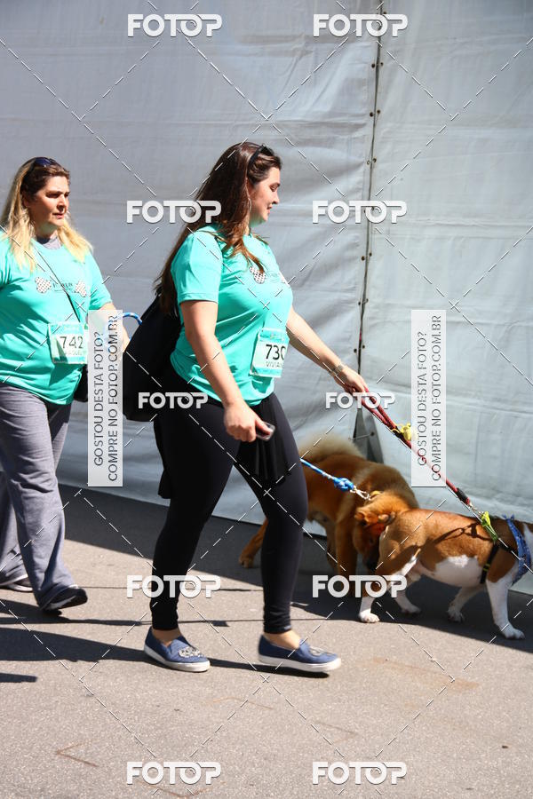 Buy your photos of the event2 Pet Run Shopping Eldorado  on Fotop