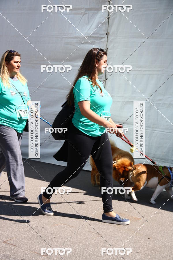Buy your photos of the event2 Pet Run Shopping Eldorado  on Fotop