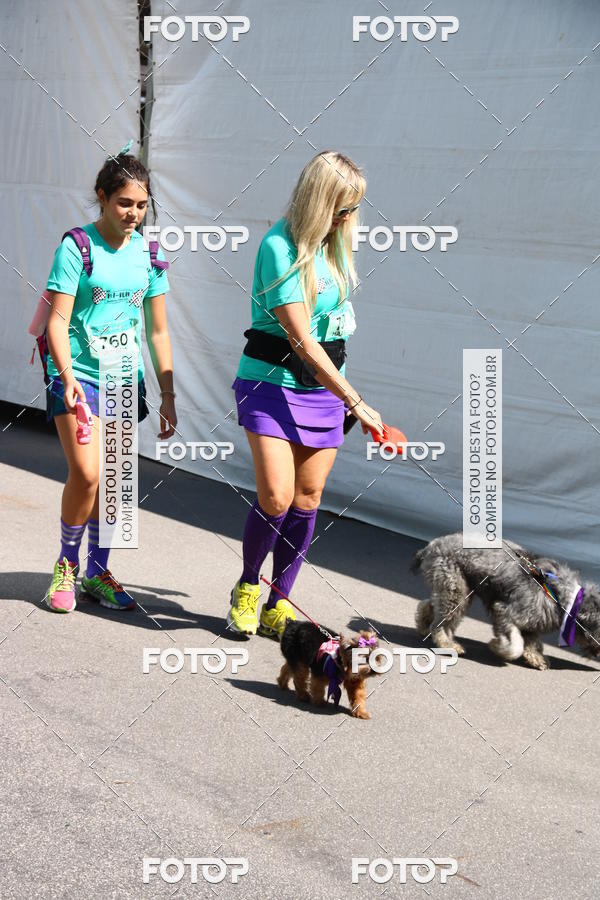 Buy your photos of the event2 Pet Run Shopping Eldorado  on Fotop