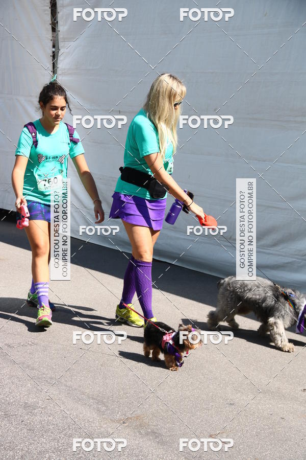 Buy your photos of the event2 Pet Run Shopping Eldorado  on Fotop