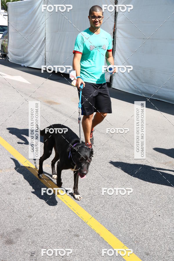 Buy your photos of the event2 Pet Run Shopping Eldorado  on Fotop