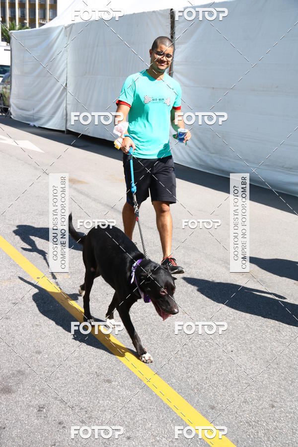 Buy your photos of the event2 Pet Run Shopping Eldorado  on Fotop