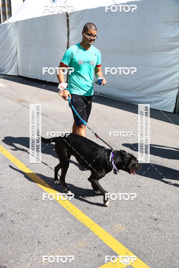 Buy your photos of the event2 Pet Run Shopping Eldorado  on Fotop