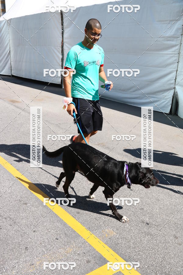Buy your photos of the event2 Pet Run Shopping Eldorado  on Fotop