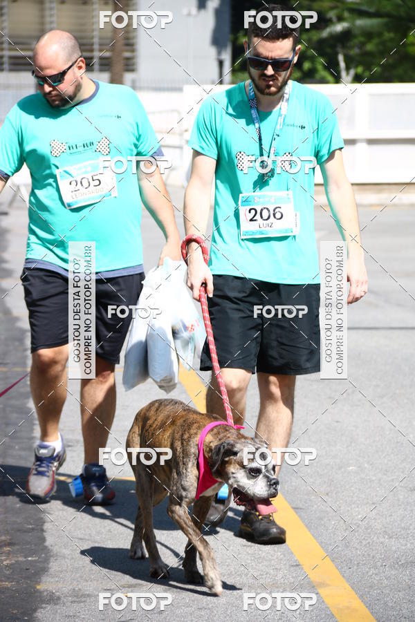 Buy your photos of the event2 Pet Run Shopping Eldorado  on Fotop