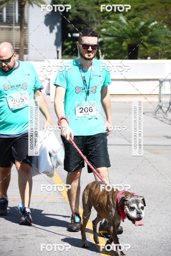 Buy your photos of the event2 Pet Run Shopping Eldorado  on Fotop