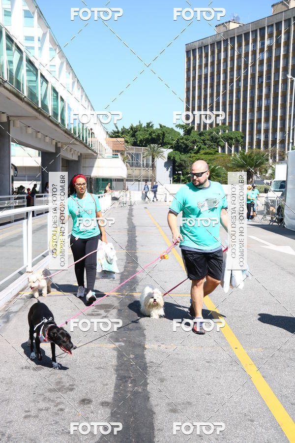 Buy your photos of the event2 Pet Run Shopping Eldorado  on Fotop