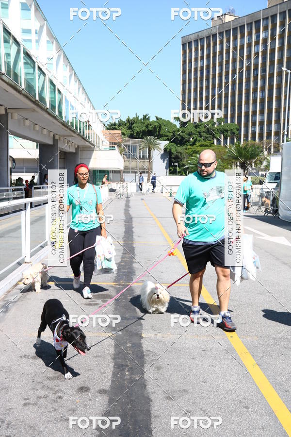 Buy your photos of the event2 Pet Run Shopping Eldorado  on Fotop