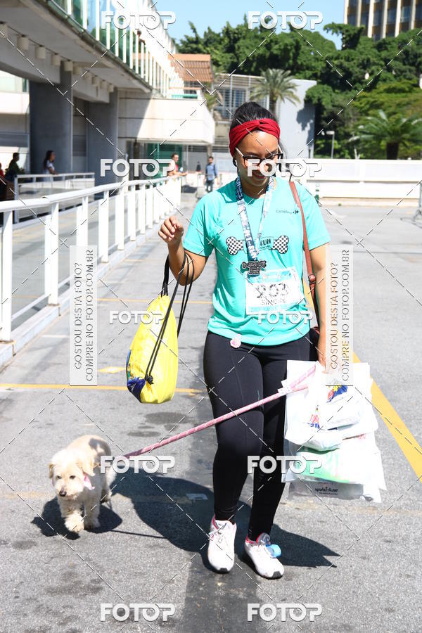 Buy your photos of the event2 Pet Run Shopping Eldorado  on Fotop