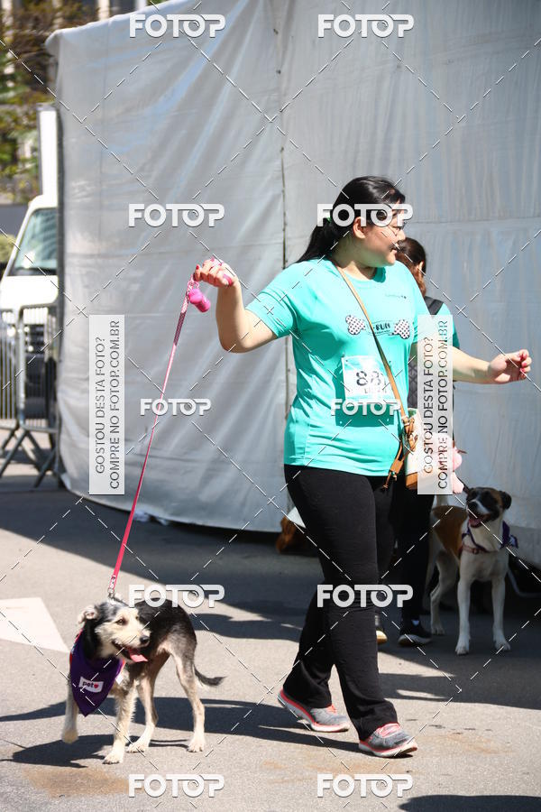 Buy your photos of the event2 Pet Run Shopping Eldorado  on Fotop