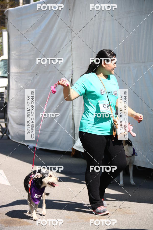 Buy your photos of the event2 Pet Run Shopping Eldorado  on Fotop