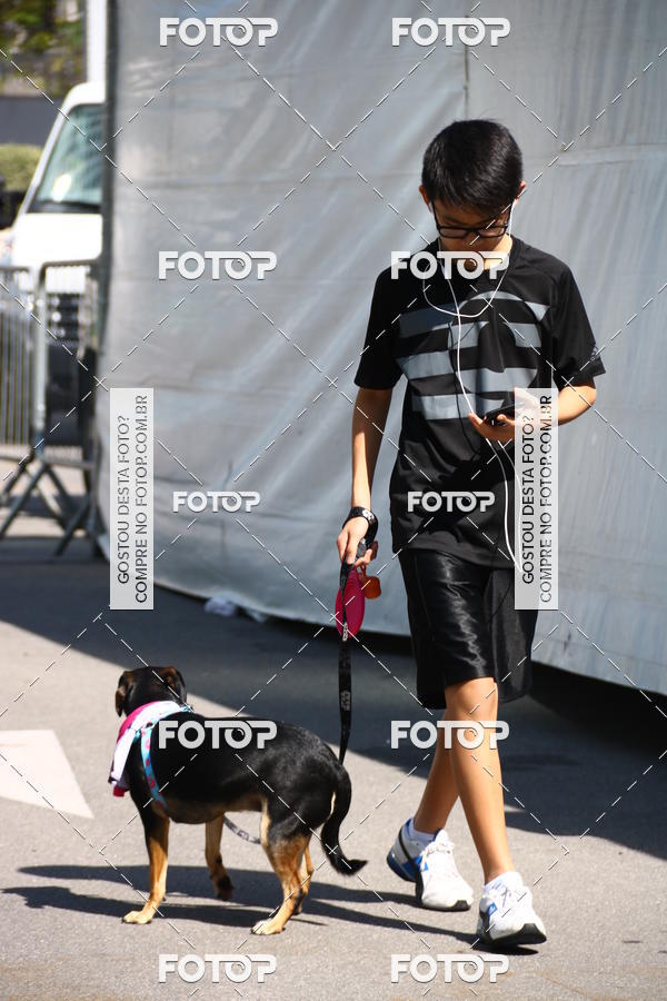 Buy your photos of the event2 Pet Run Shopping Eldorado  on Fotop