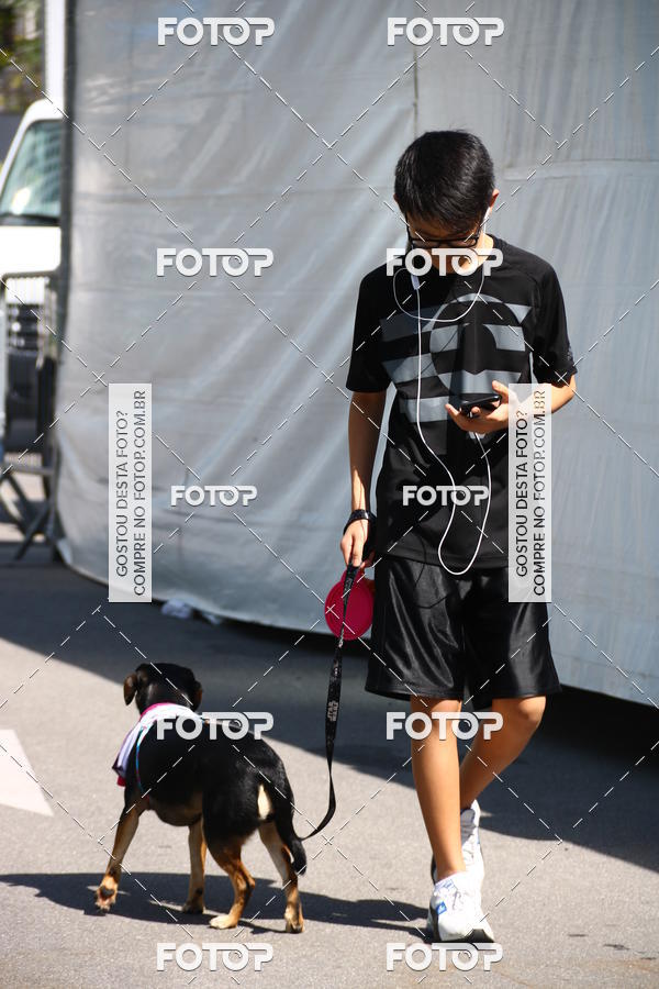Buy your photos of the event2 Pet Run Shopping Eldorado  on Fotop