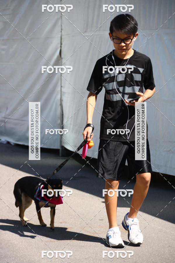 Buy your photos of the event2 Pet Run Shopping Eldorado  on Fotop