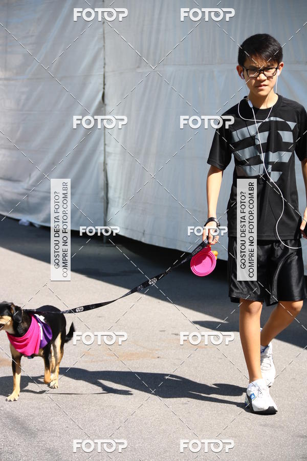 Buy your photos of the event2 Pet Run Shopping Eldorado  on Fotop