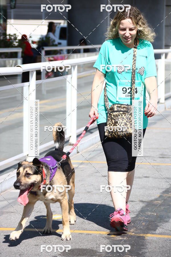 Buy your photos of the event2 Pet Run Shopping Eldorado  on Fotop