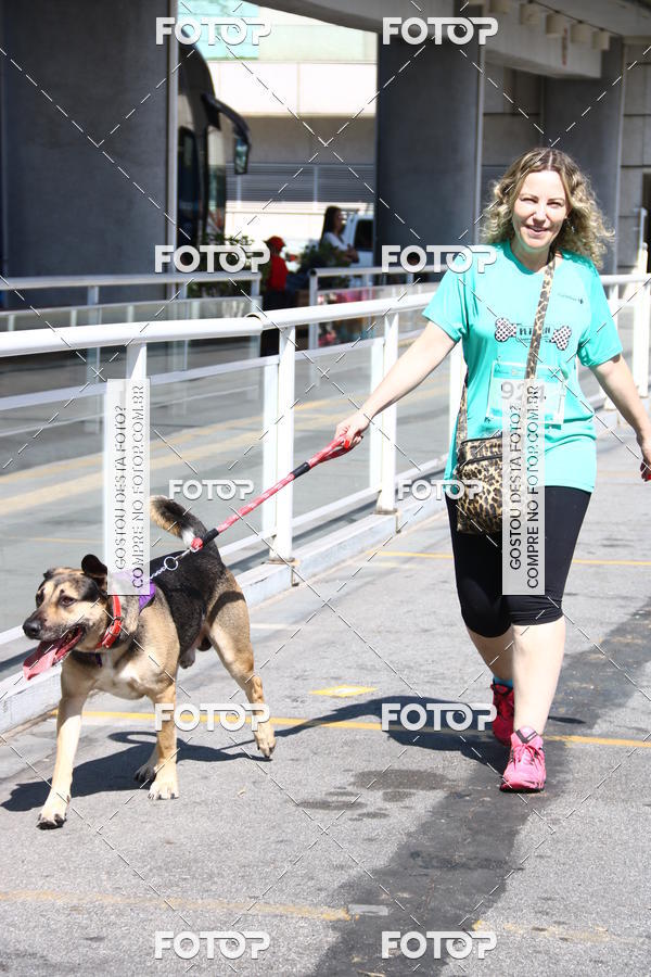 Buy your photos of the event2 Pet Run Shopping Eldorado  on Fotop