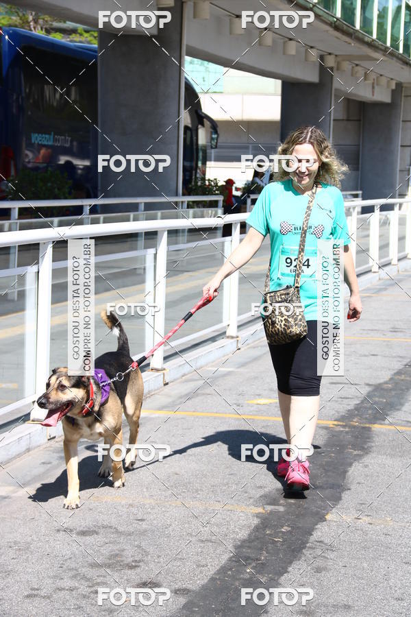 Buy your photos of the event2 Pet Run Shopping Eldorado  on Fotop