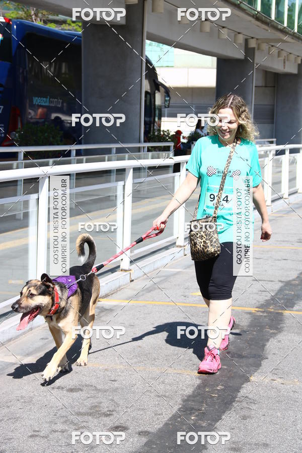 Buy your photos of the event2 Pet Run Shopping Eldorado  on Fotop