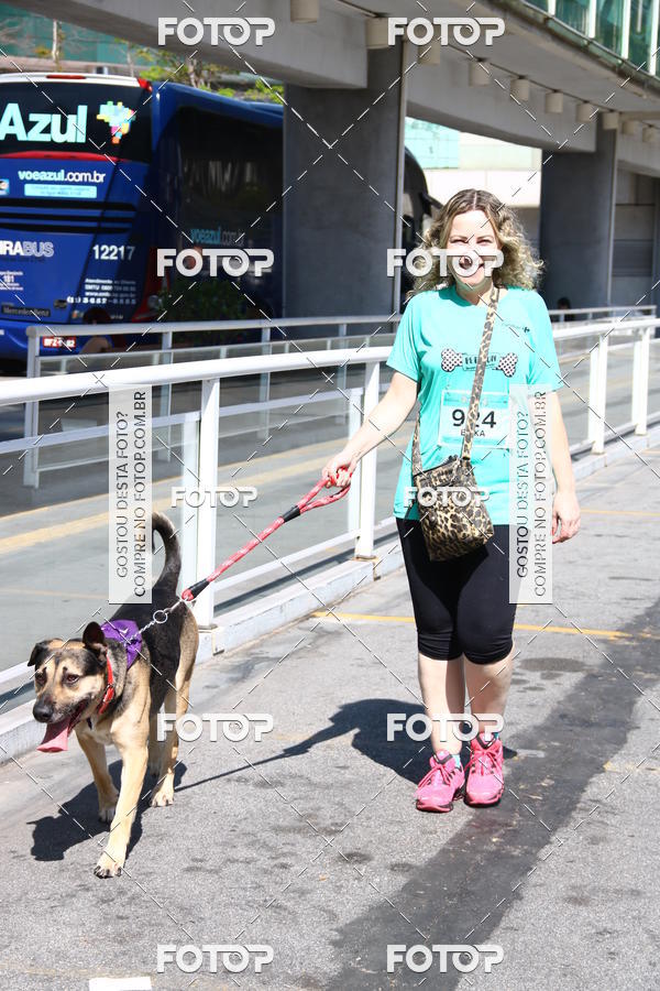 Buy your photos of the event2 Pet Run Shopping Eldorado  on Fotop