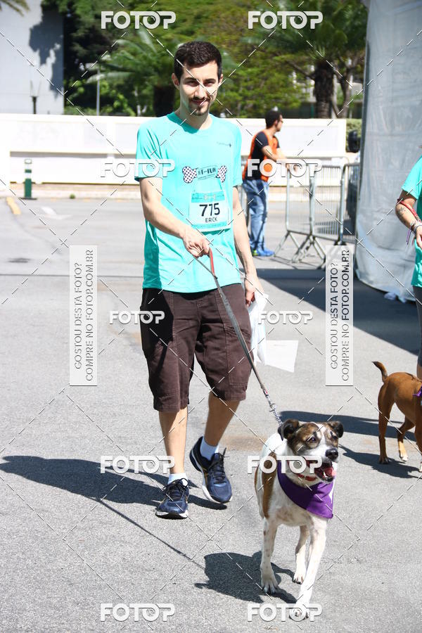 Buy your photos of the event2 Pet Run Shopping Eldorado  on Fotop