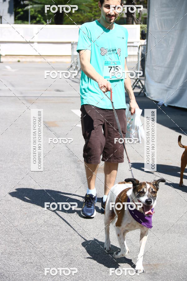 Buy your photos of the event2 Pet Run Shopping Eldorado  on Fotop