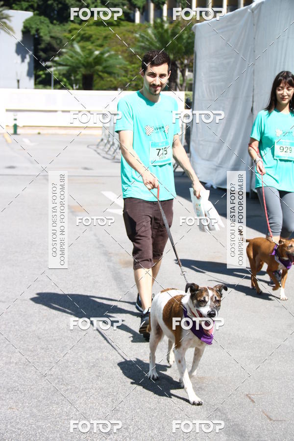 Buy your photos of the event2 Pet Run Shopping Eldorado  on Fotop