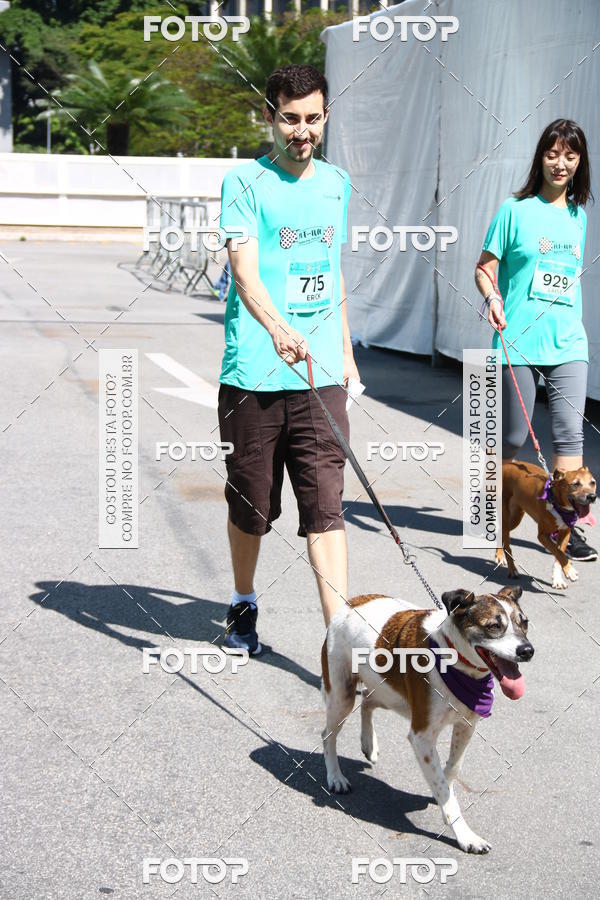 Buy your photos of the event2 Pet Run Shopping Eldorado  on Fotop