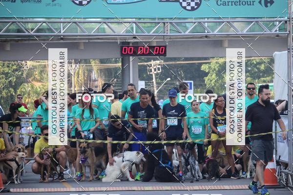 Buy your photos of the event2 Pet Run Shopping Eldorado  on Fotop
