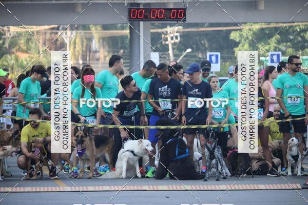 Buy your photos of the event2 Pet Run Shopping Eldorado  on Fotop