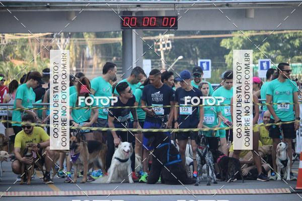 Buy your photos of the event2 Pet Run Shopping Eldorado  on Fotop