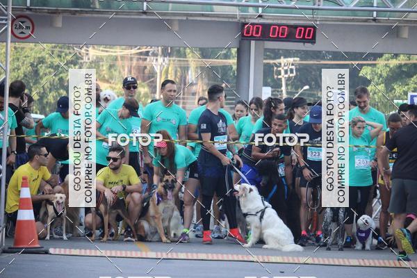 Buy your photos of the event2 Pet Run Shopping Eldorado  on Fotop