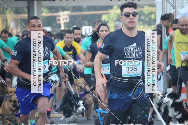 Buy your photos of the event2 Pet Run Shopping Eldorado  on Fotop