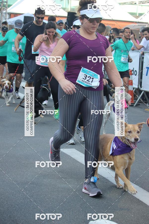 Buy your photos of the event2 Pet Run Shopping Eldorado  on Fotop