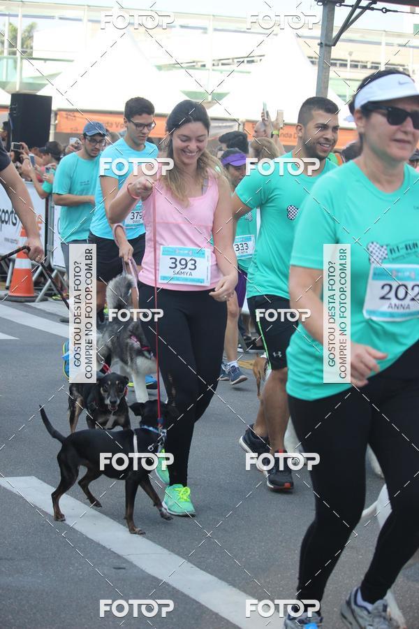 Buy your photos of the event2 Pet Run Shopping Eldorado  on Fotop