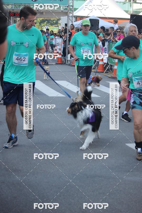 Buy your photos of the event2 Pet Run Shopping Eldorado  on Fotop