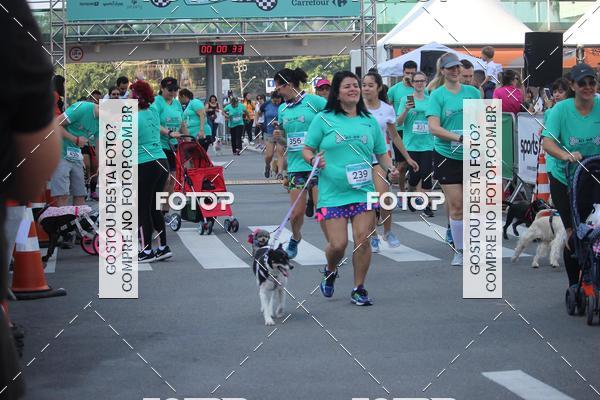 Buy your photos of the event2 Pet Run Shopping Eldorado  on Fotop