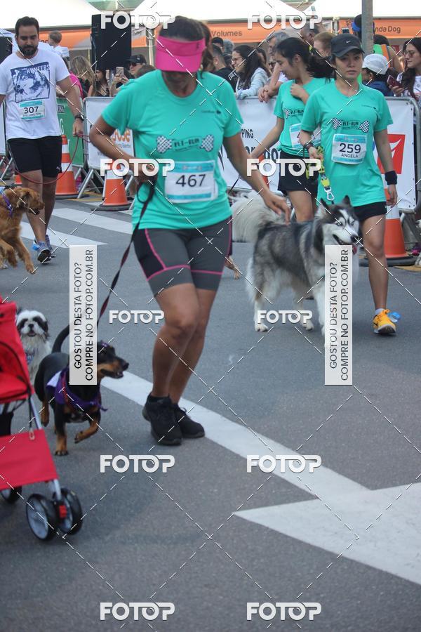 Buy your photos of the event2 Pet Run Shopping Eldorado  on Fotop