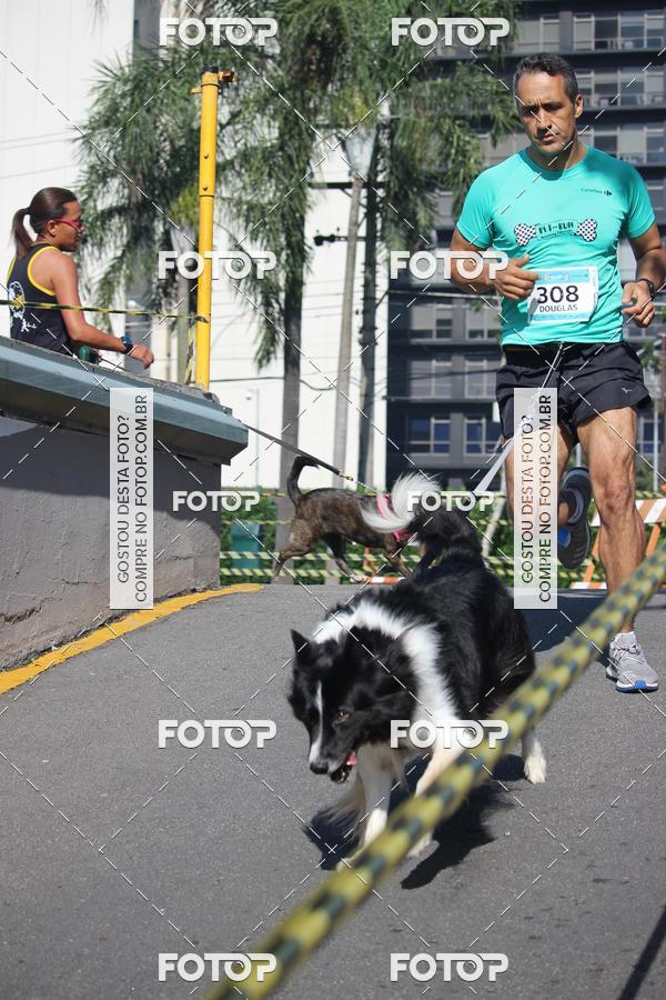 Buy your photos of the event2 Pet Run Shopping Eldorado  on Fotop