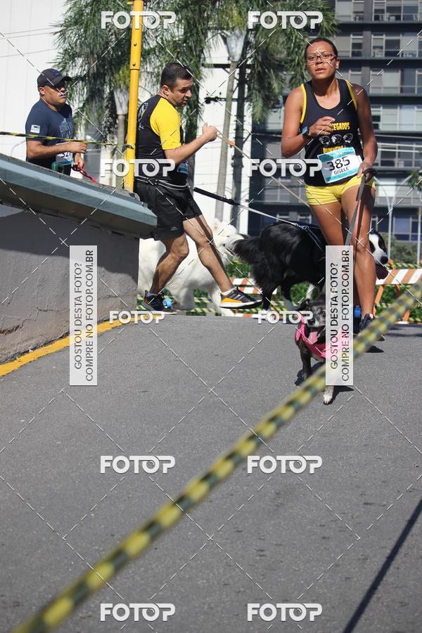 Buy your photos of the event2 Pet Run Shopping Eldorado  on Fotop