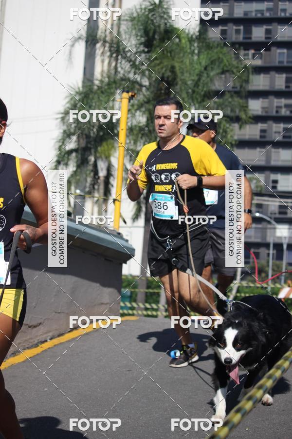 Buy your photos of the event2 Pet Run Shopping Eldorado  on Fotop