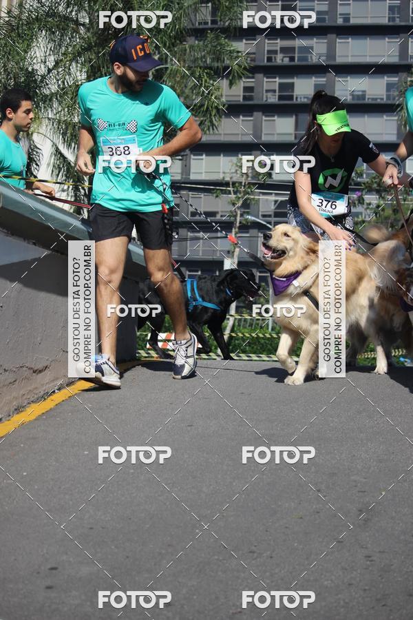 Buy your photos of the event2 Pet Run Shopping Eldorado  on Fotop