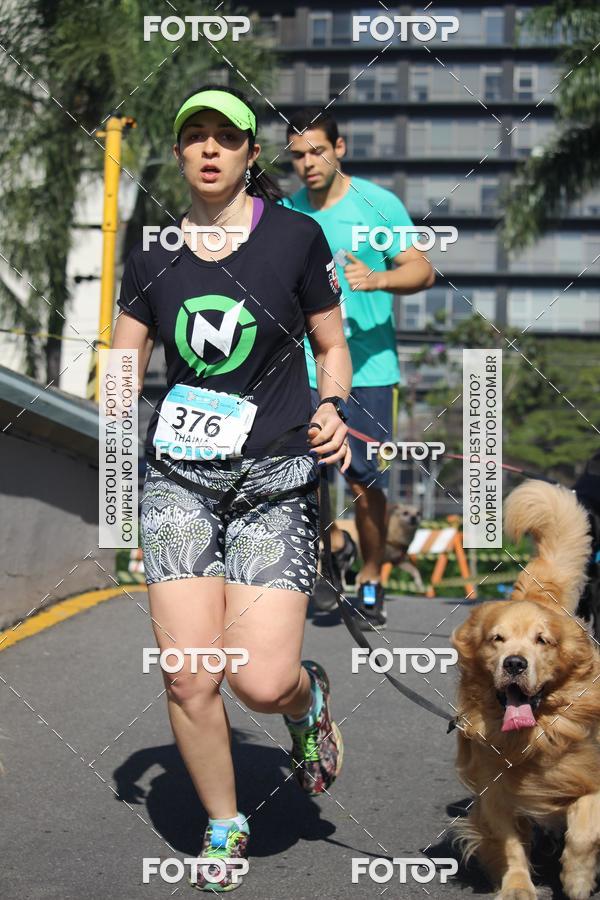 Buy your photos of the event2 Pet Run Shopping Eldorado  on Fotop