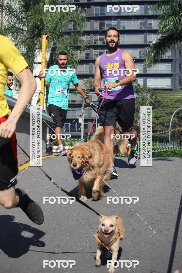 Buy your photos of the event2 Pet Run Shopping Eldorado  on Fotop
