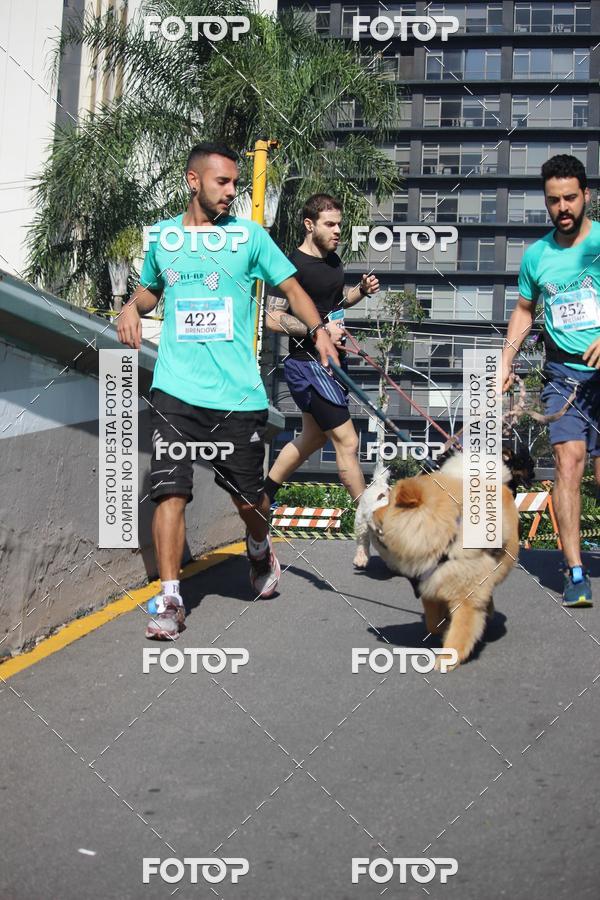 Buy your photos of the event2 Pet Run Shopping Eldorado  on Fotop