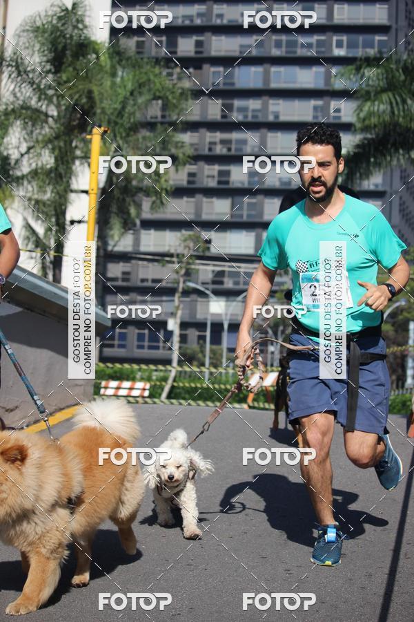 Buy your photos of the event2 Pet Run Shopping Eldorado  on Fotop